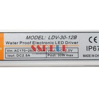 LDV-30